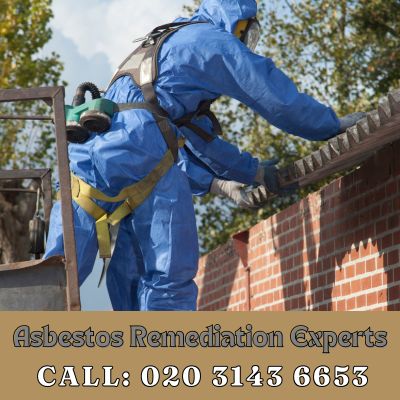 Asbestos Remediation Experts Elstree