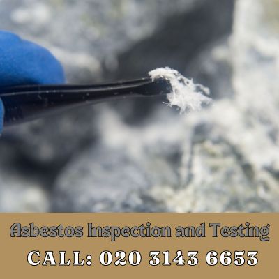 Comprehensive Asbestos Inspection and Testing Services in Elstree